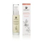 Crema hidratanta de zi si de noapte cu avocado