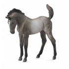Mustang - Grulla manz