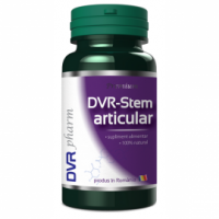 Dvr-stem articular 60cps DVR PHARM