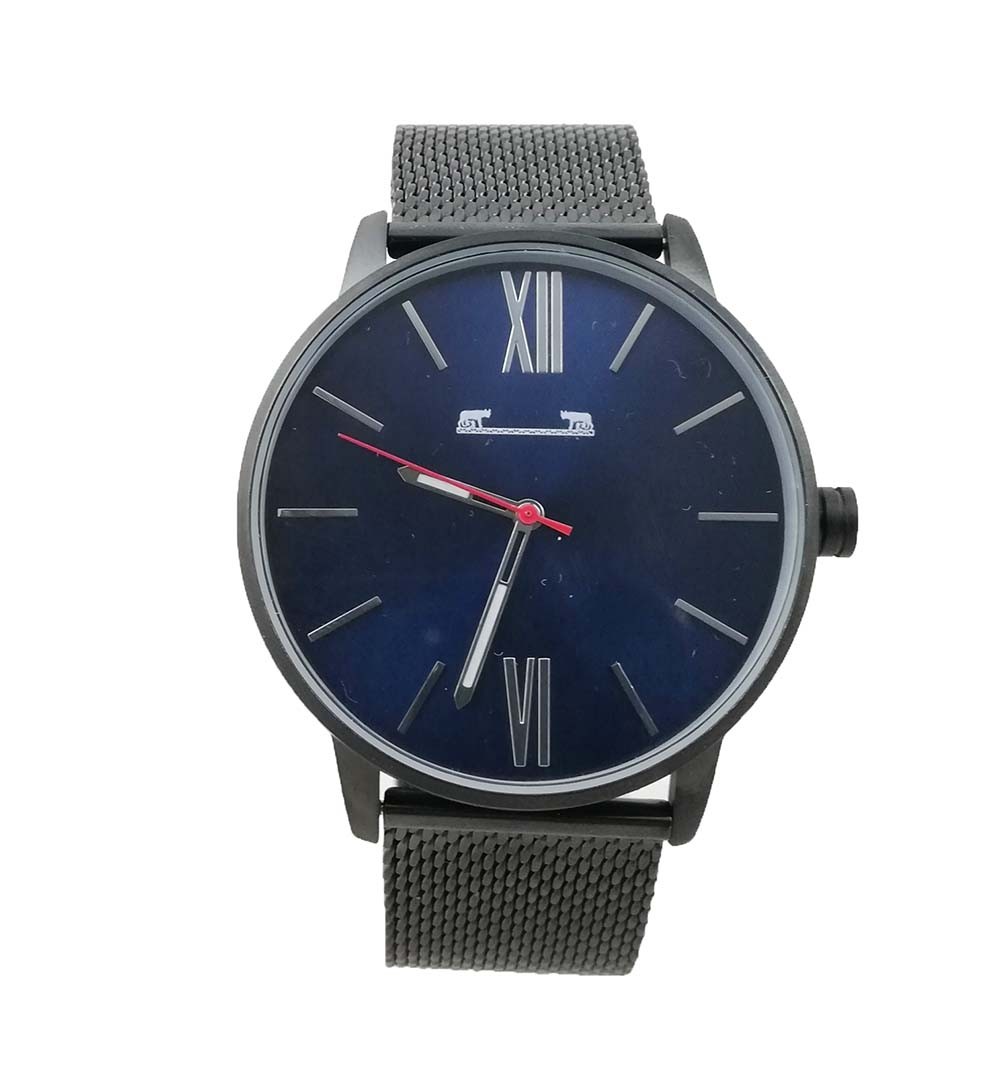 Ceas bărbătesc Matteo Ferari MF8238