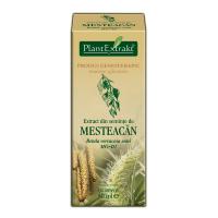 Extract din seminte de mesteacan - betula verrucosa semi mg=d1 50ml PLANTEXTRAKT