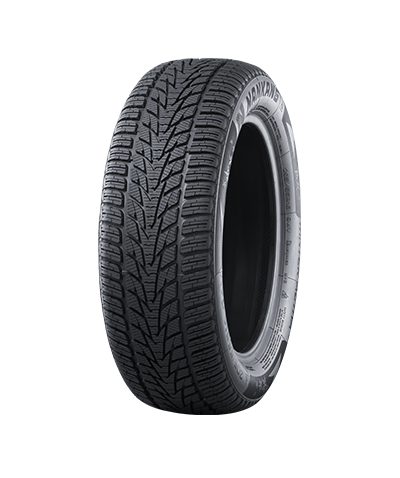 NANKANG SV-4 255/45R19 104V XL