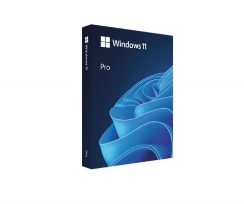 Windows 11 Professional, 64bit, ESD, Licenta permanenta