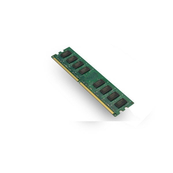 8010
