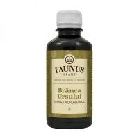 Tinctura de branca ursului 200ml FAUNUS PLANT