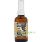 Ulei de Morcov Presat la Rece Spray 50ml