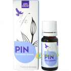 Ulei Esential de Pin 10ml