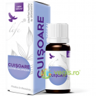 Ulei Esential de Cuisoare 10ml