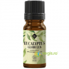 Ulei Esential de Eucalipt Globulus Ecologic Bio 10ml