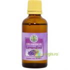 Ulei Esential De Lavandina Lavanda 50ml