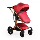 Carucior transformabil 2 in 1 Moni Sofie Red