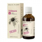 Tinctura de echinacea fara alcool 50ml DACIA PLANT