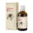 Tinctura de echinacea 50ml DACIA PLANT