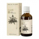 Tinctura de leurda 50ml DACIA PLANT