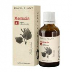 Tinctura de mesteacan 50ml DACIA PLANT