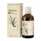 Tinctura de obligeana 50ml DACIA PLANT