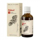 Tinctura de paducel 50ml DACIA PLANT