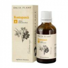 Tinctura de rostopasca 50ml DACIA PLANT