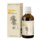 Tinctura de sanziene 50ml DACIA PLANT