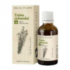 Tinctura de traista ciobanului 50ml DACIA PLANT