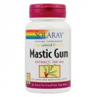 Mastic gum 45cps SOLARAY