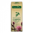Extract din muguri de carpen carpinus betulus mg d1 50ml PLANTEXTRAKT