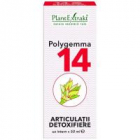 Polygemma 14 articulatii detoxifiere 50ml PLANTEXTRAKT