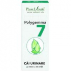 Polygemma 7 cai urinare 50ml PLANTEXTRAKT
