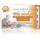 Extract purificat de rasina mumie 100 natural capsule 30cps DAMAR