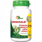 Urinosalm protector natural al cailor urinare 100tbl AYURMED