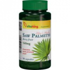 Extract de palmier pitic saw palmetto 540mg 90cps VITAKING