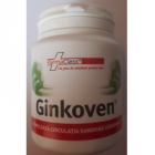 Ginkoven 120cps FARMACLASS