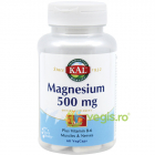 Magnesium 500Mg 60Cps Secom