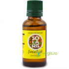 Ulei Esential de Eucalipt 30ml