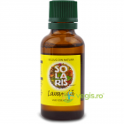 Ulei Esential de Lavanda 30ml