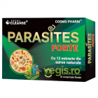 Parasites Forte Total Cleanse 30tb