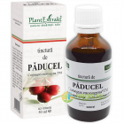 Tinctura Paducel 50ml