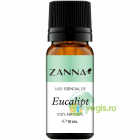 Ulei Esential de Eucalipt 10ml