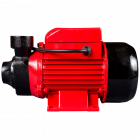 Pompa de apa curata Raider WP60 motor electric 550 W 40 l min debit