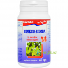 Ginkgo Biloba 40cps