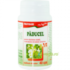 Paducel 40cps