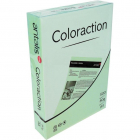 Hartie color Coloraction A4 80 g 500 coli top verde padure Forest Pret