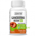 Ganoderma Reishi Ecologica Bio 300mg 60cps