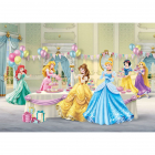 Fototapet duplex Disney Princess 360 x 254 cm