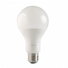 Bec LED Philips CorePro LEDbulb ND 20 150W E27 865 A80 rece natural