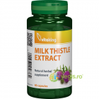 Extract de Armurariu Milk Thistle Extract 500mg 80cps