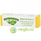 Balsam de Buze Morcovi 4 8g