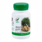 Mastic gum 60cps PRO NATURA
