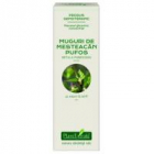 Extract concentrat din muguri de mesteacan pufos betula pubescens mg 1