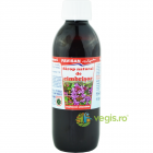 Sirop de Cimbrisor 250ml